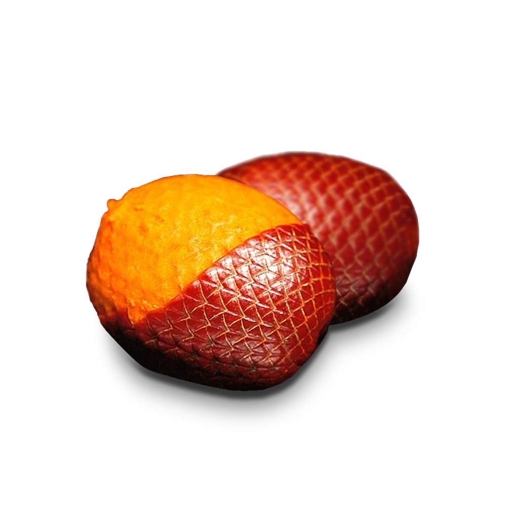 Buriti Fruit Oil