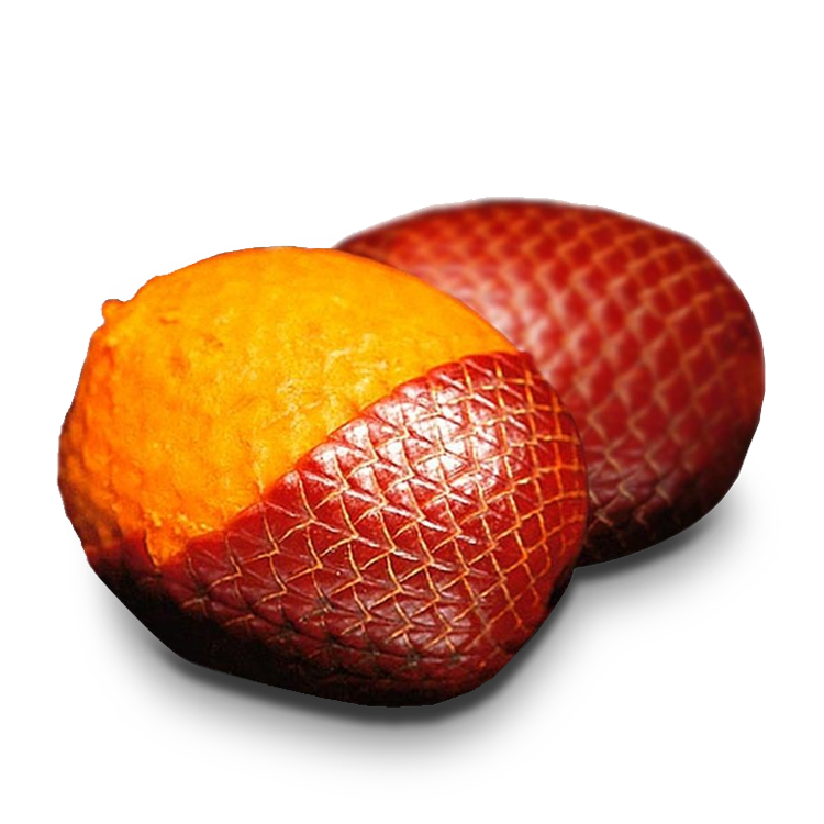 Buriti Fruit Oil