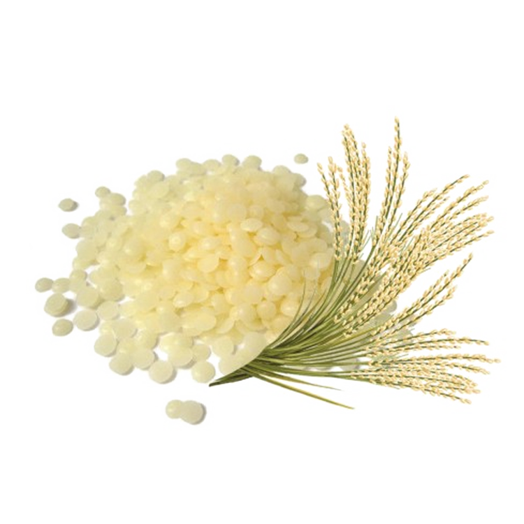 Rice Bran