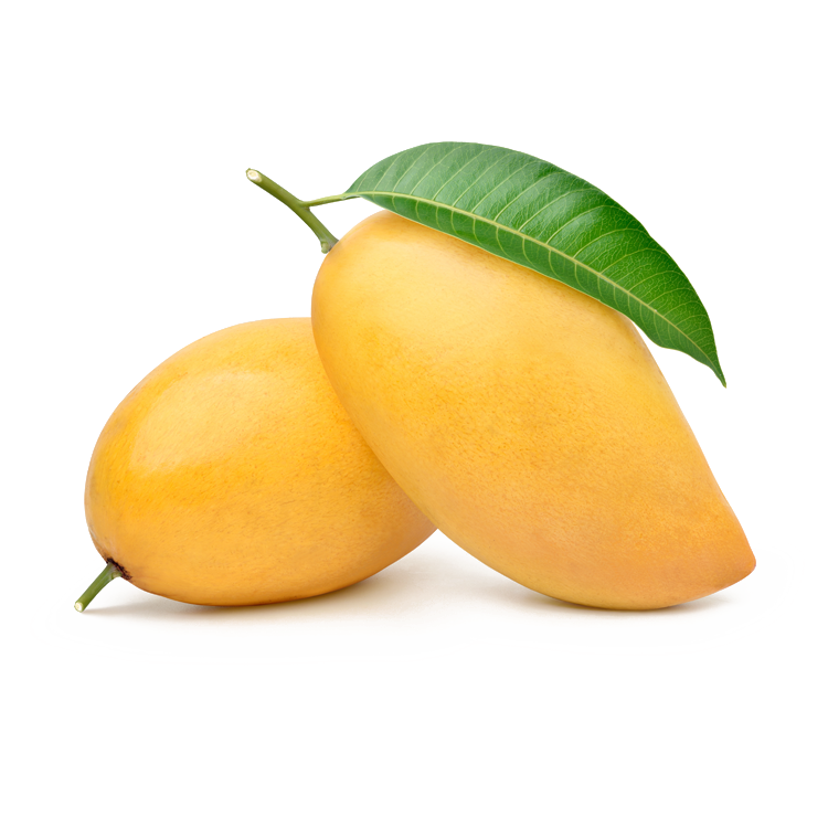 Mango Leaf Extract