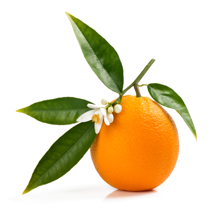 Orange Blossom Water