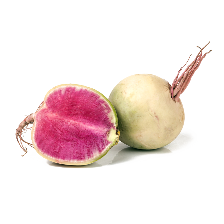 Radish Root Ferment