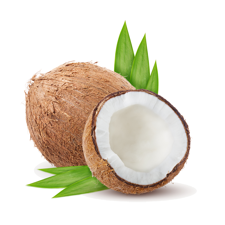 Coconut Extract