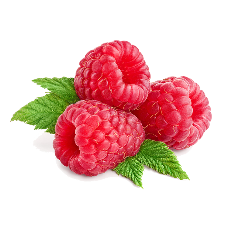 Raspberry Stem Cells