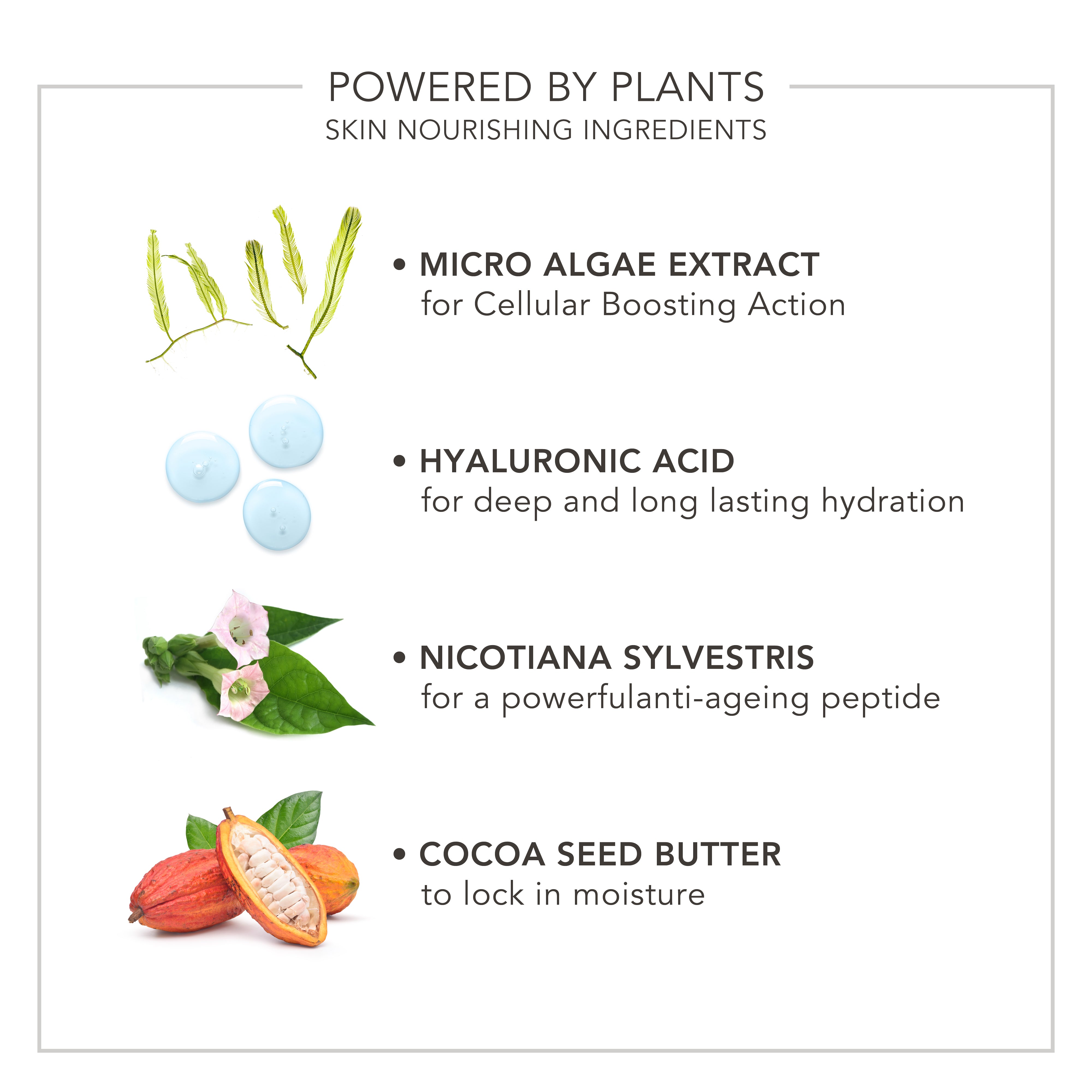 Wake Up | Radiant Eye Perfector