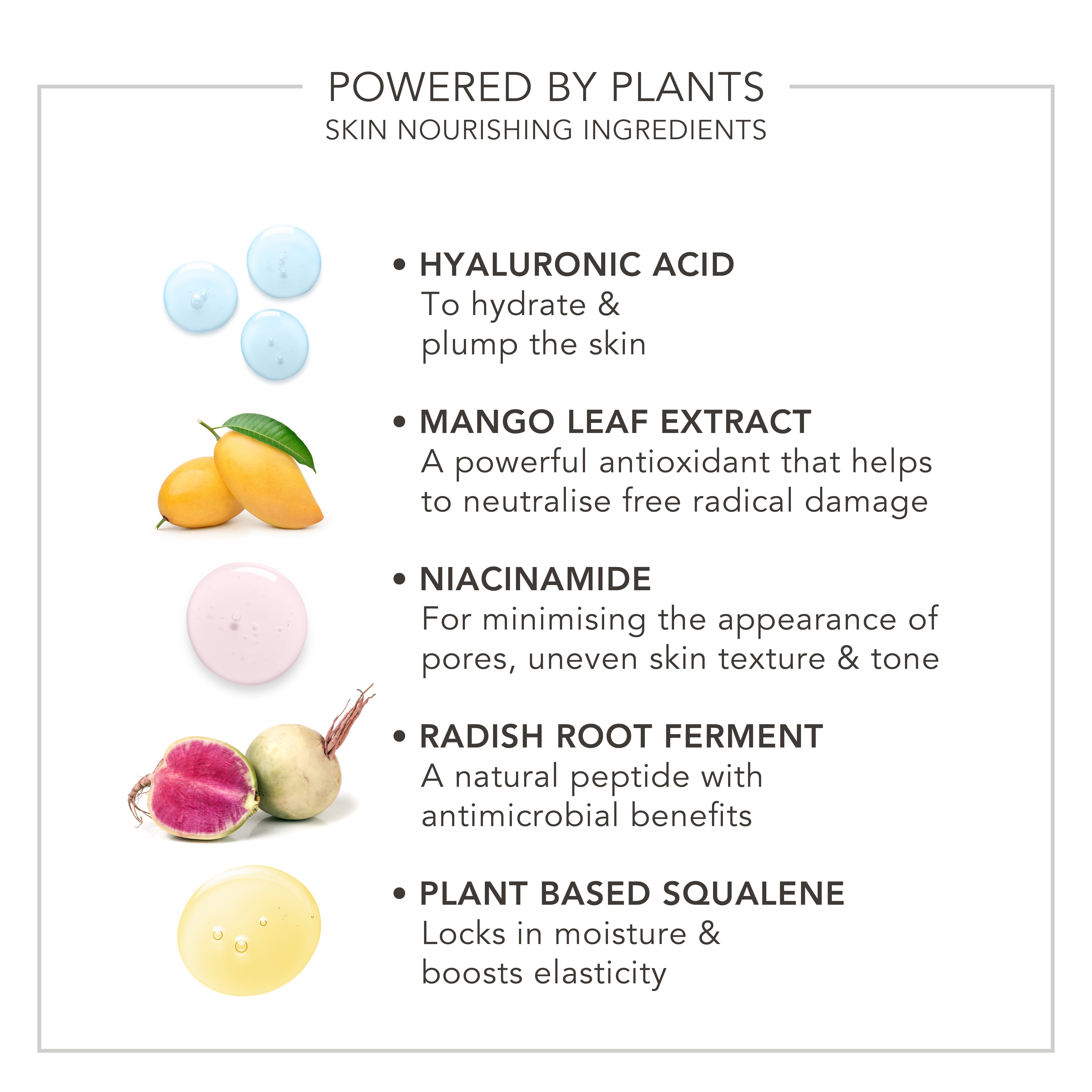 Wake Up | Radiant Skin Tint