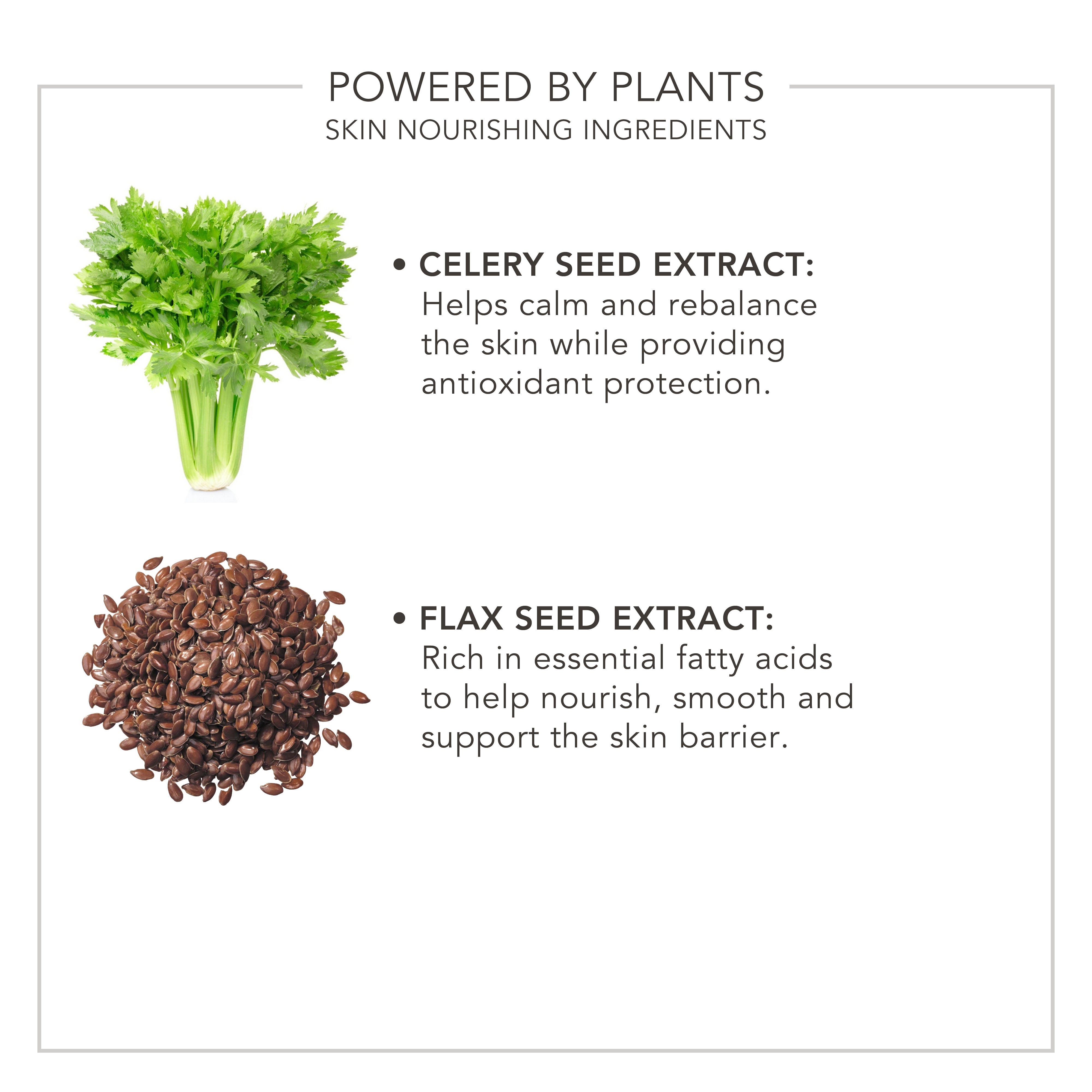 Wake Up | Secret Skin Smoother
