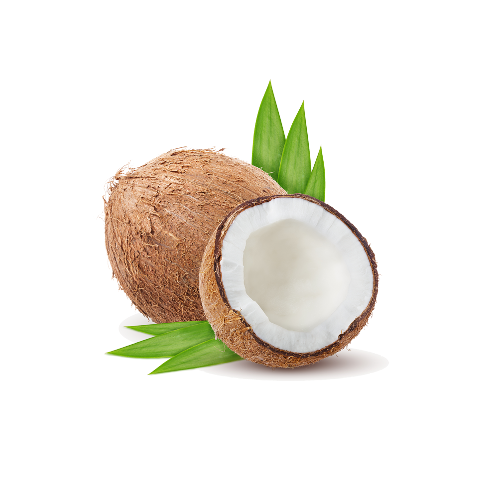 Coconut Extract