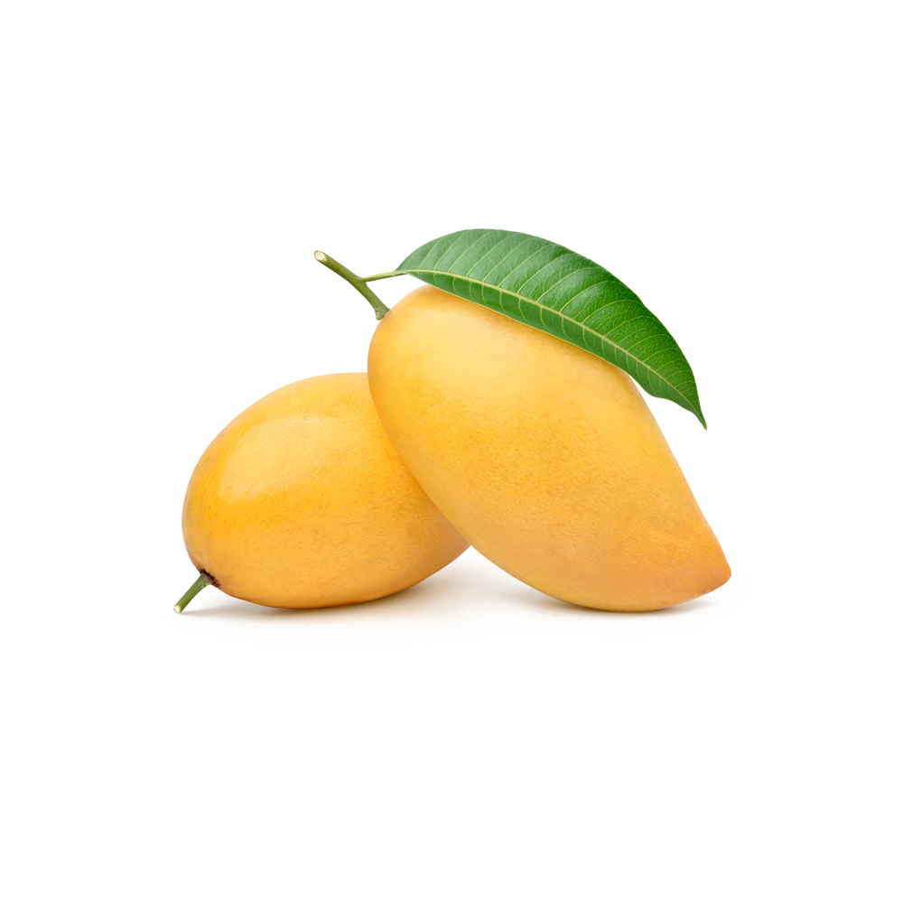 Mango Leaf Extract