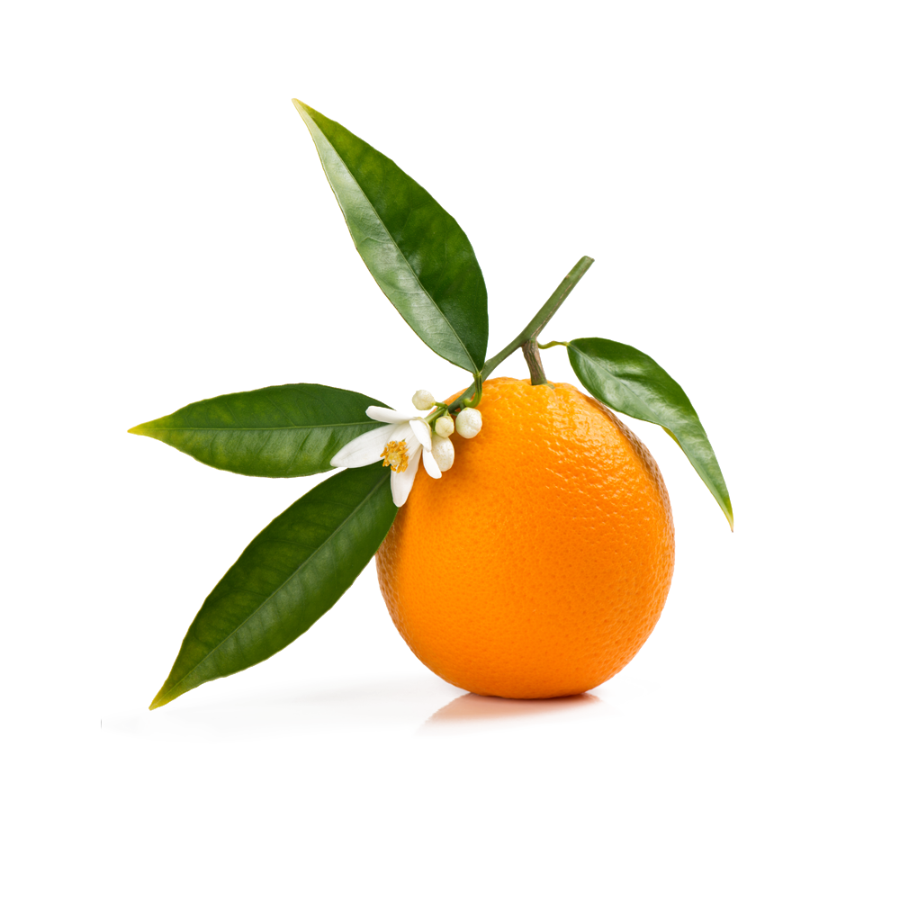 Orange Blossom Water