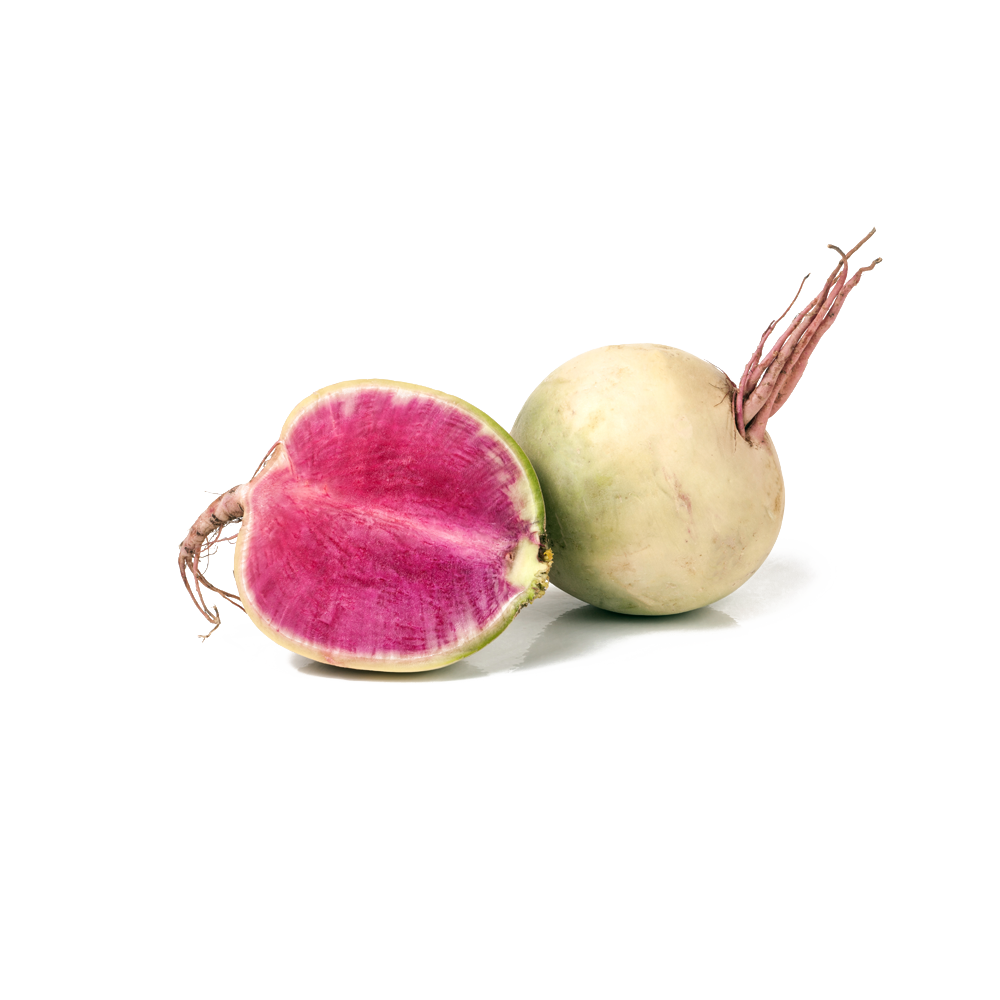 Radish Root Ferment